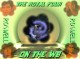 rosallcast4.jpg